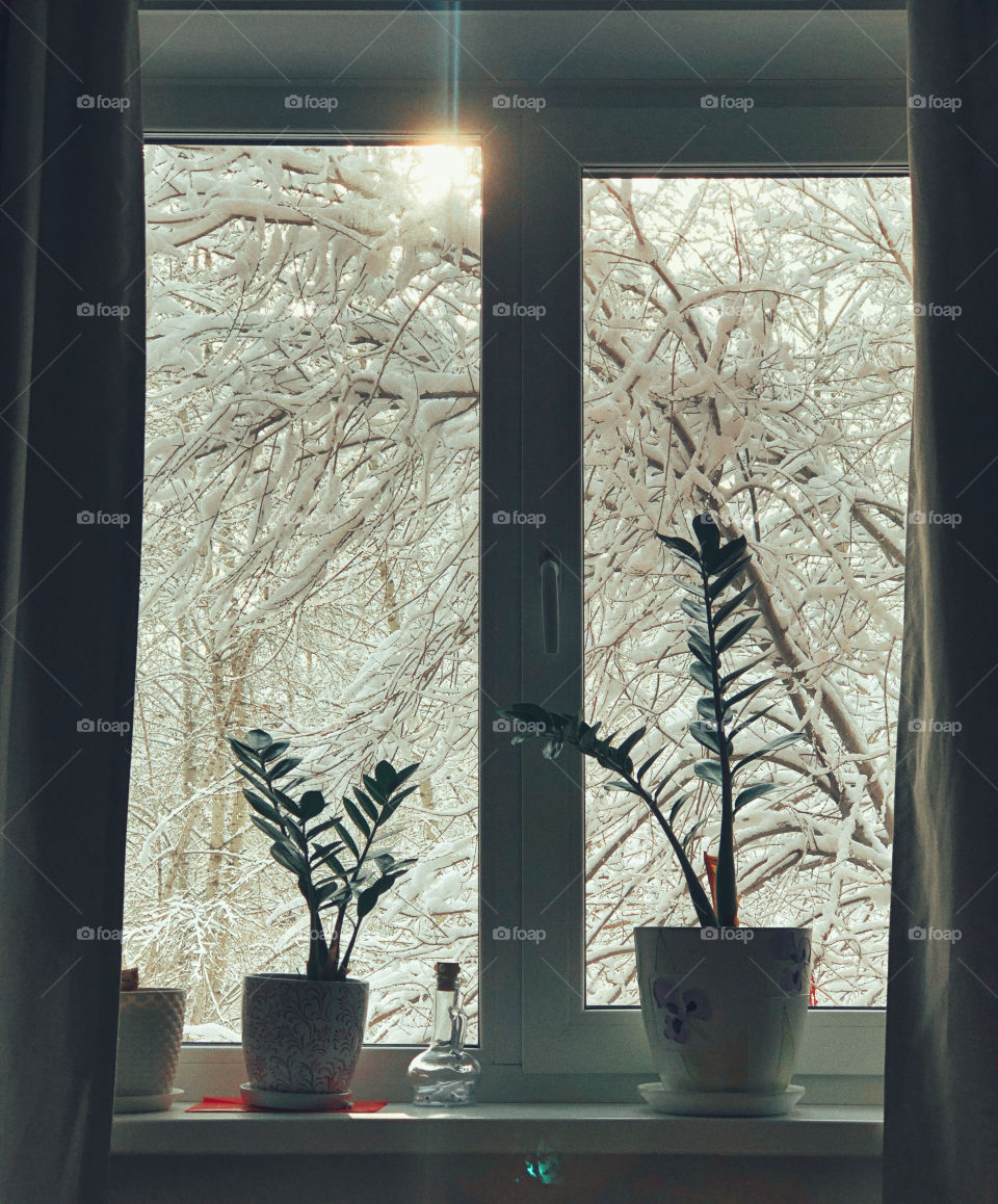 Winter in window