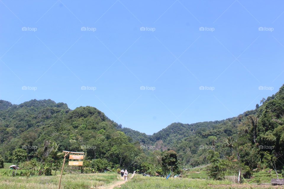 scenic view of field against clear sky