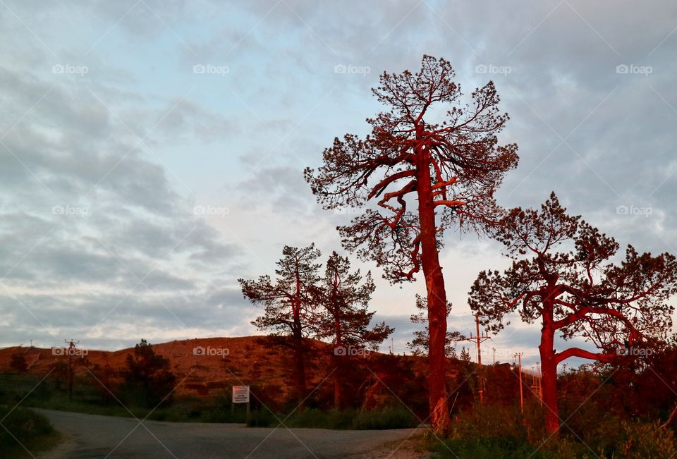 Just before sunset on the mountain