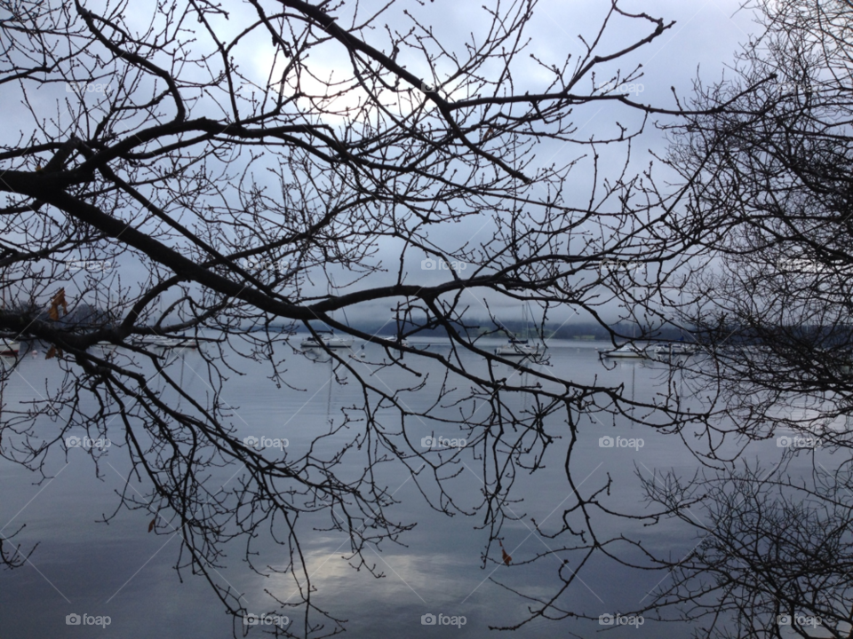 january tranquility the waters edge quiet reflection by clarkie28
