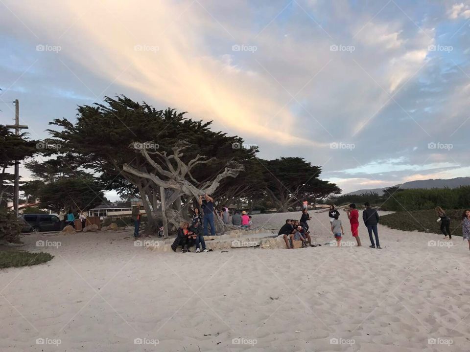 Carmel beach, California 