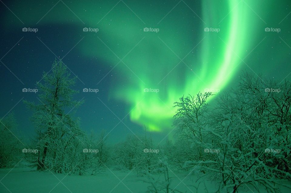 North, winter, aurora, solar wind, sun, night, flash, Polar region, snow, green, frost, northern night, emerald, flashes, magnetic storm, northern beauty, northern winter, evening, photo apparatus, shooting at night, long exposure