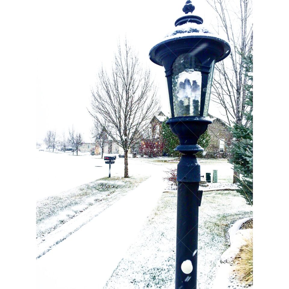 Snowy street lamp 