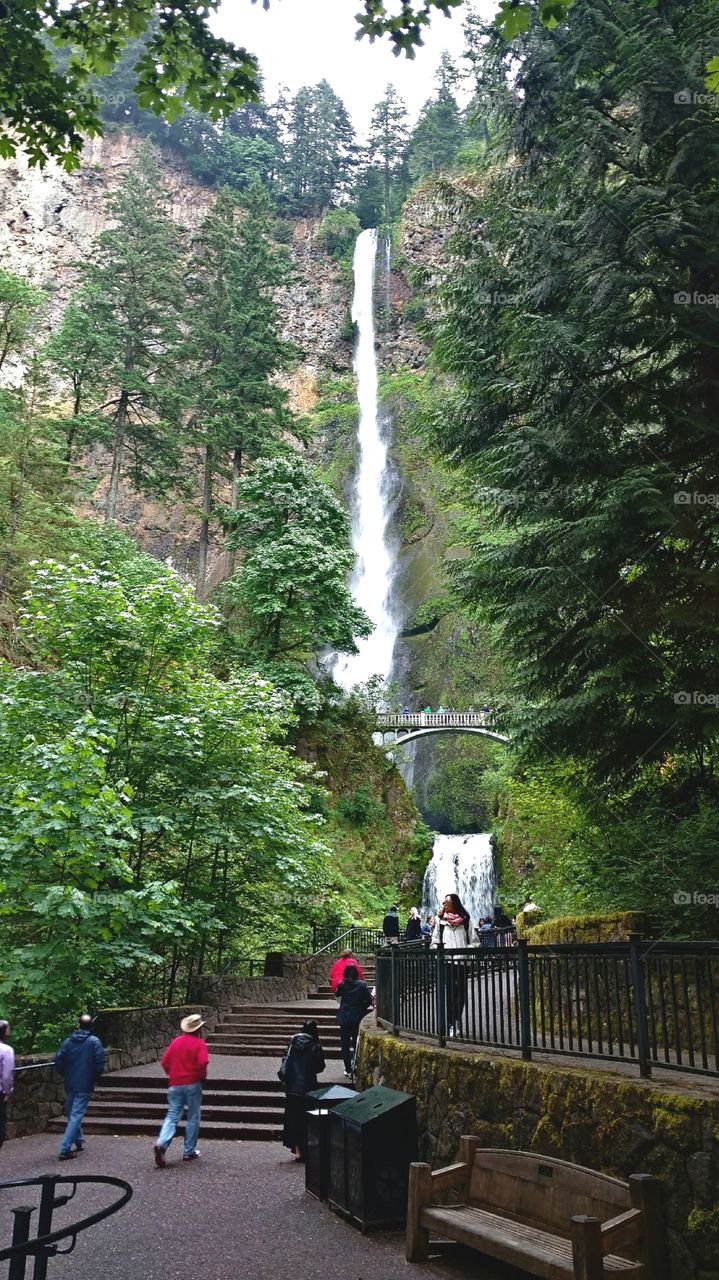 Vacationing in the Pacific Northwest and stopping to take in Multnomah Falls, OR