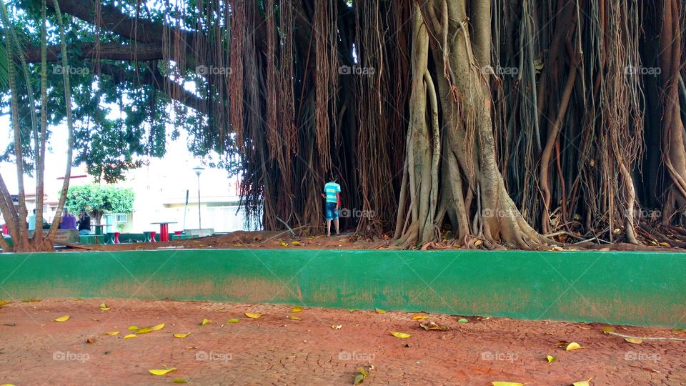 Homens jogando baralho.
