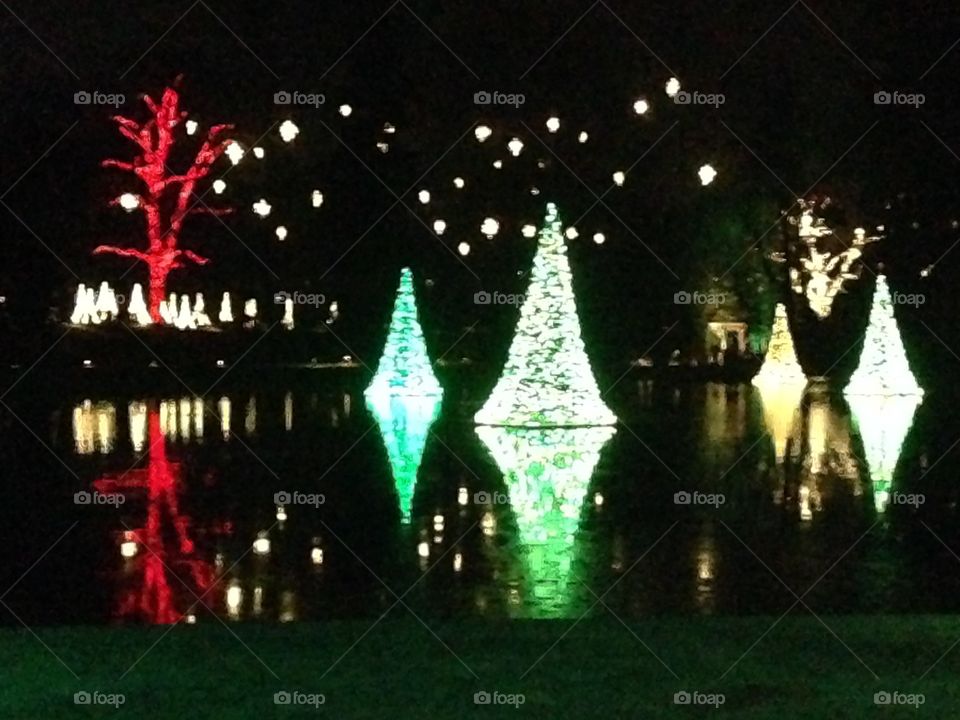 Christmas Reflections
