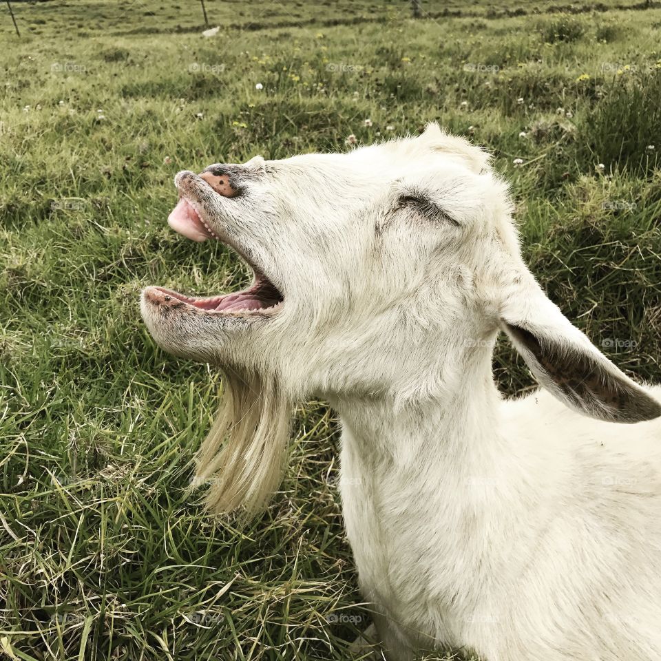 That was so funny 😂 