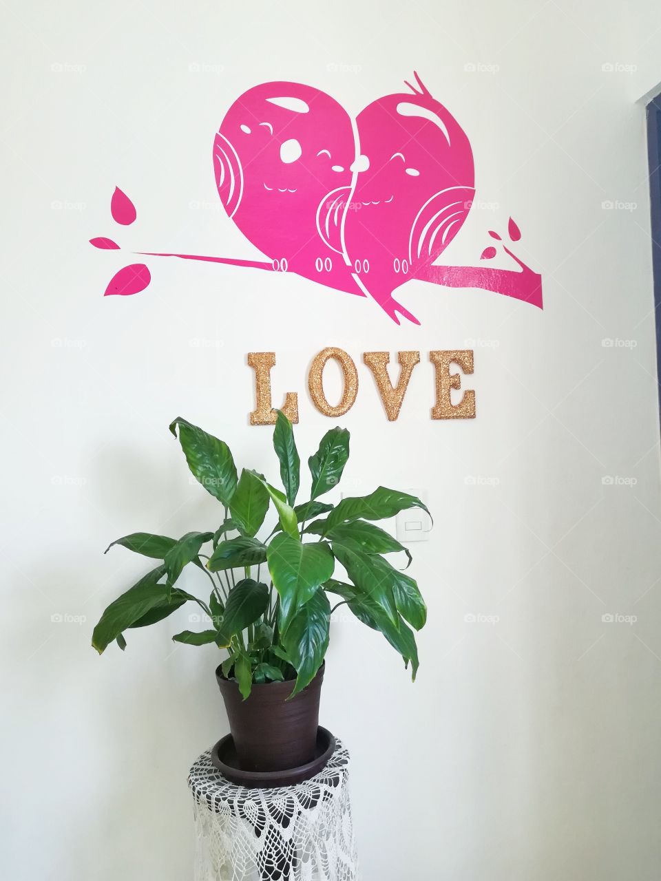 plant and design interior