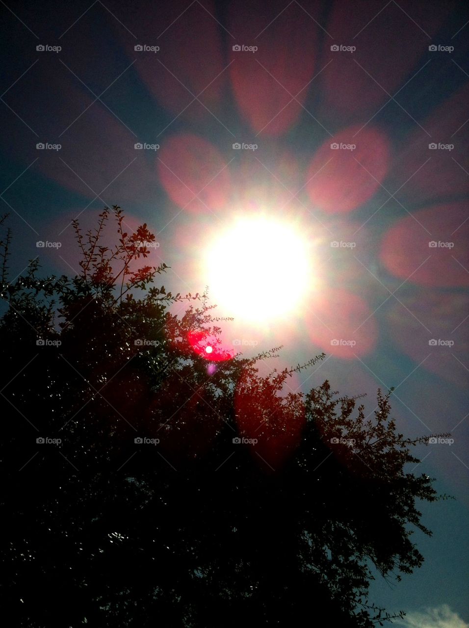 Beautiful Texas, Midday Sun