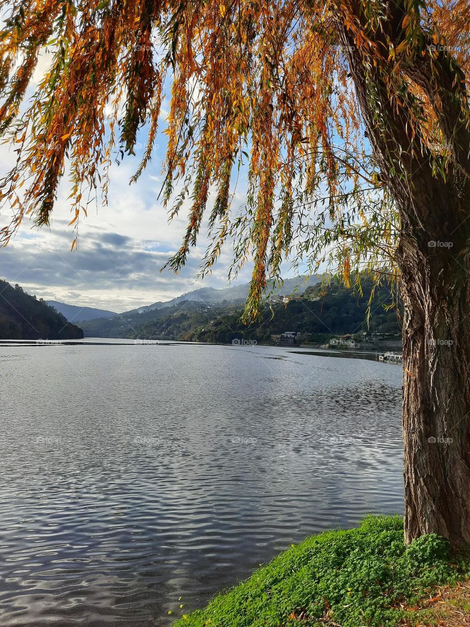 Autumn/Fall in Portugal