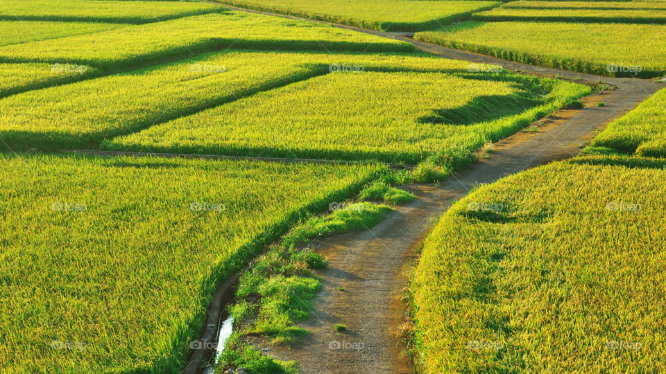 Best away, garss looking good