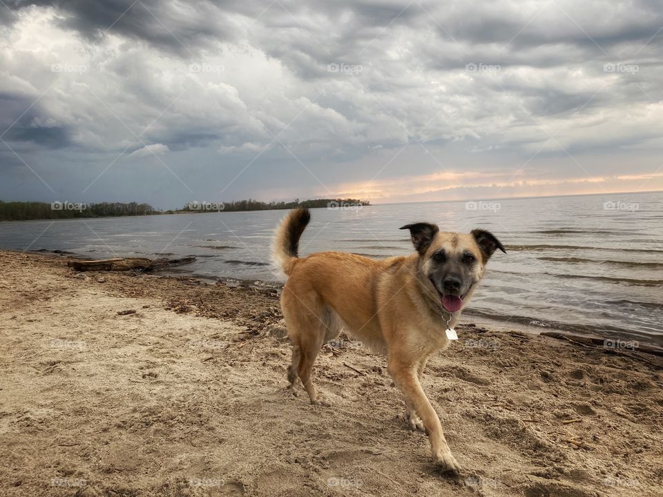 Loving the beach