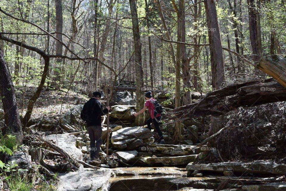 We make our own path through the woods