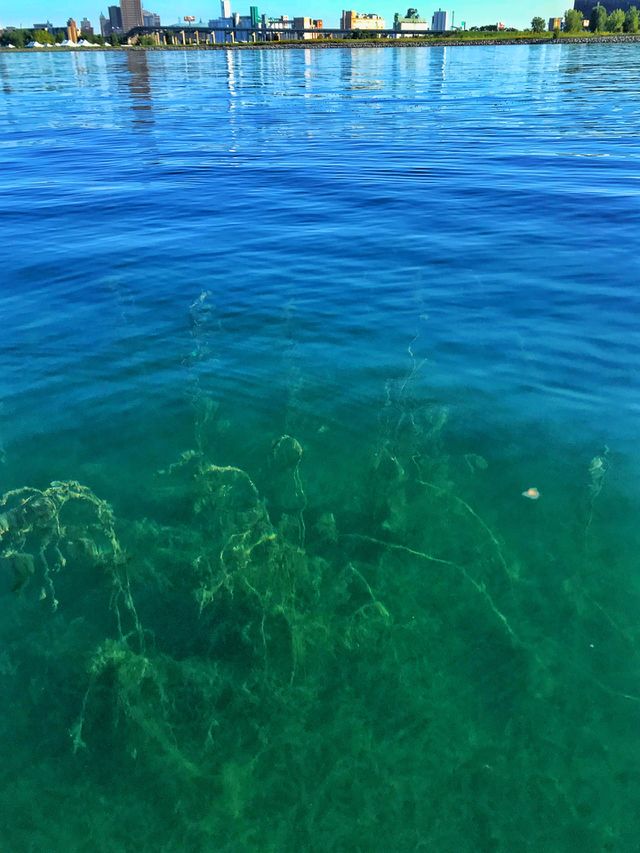 Kayaking the inner harbor