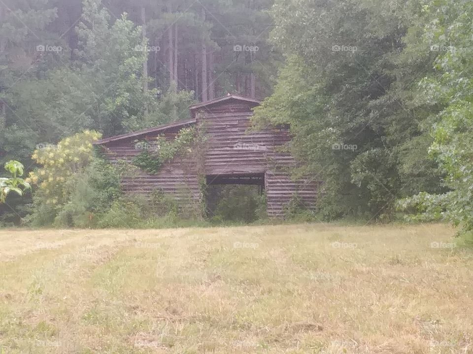 abandoned horse barn and pasture