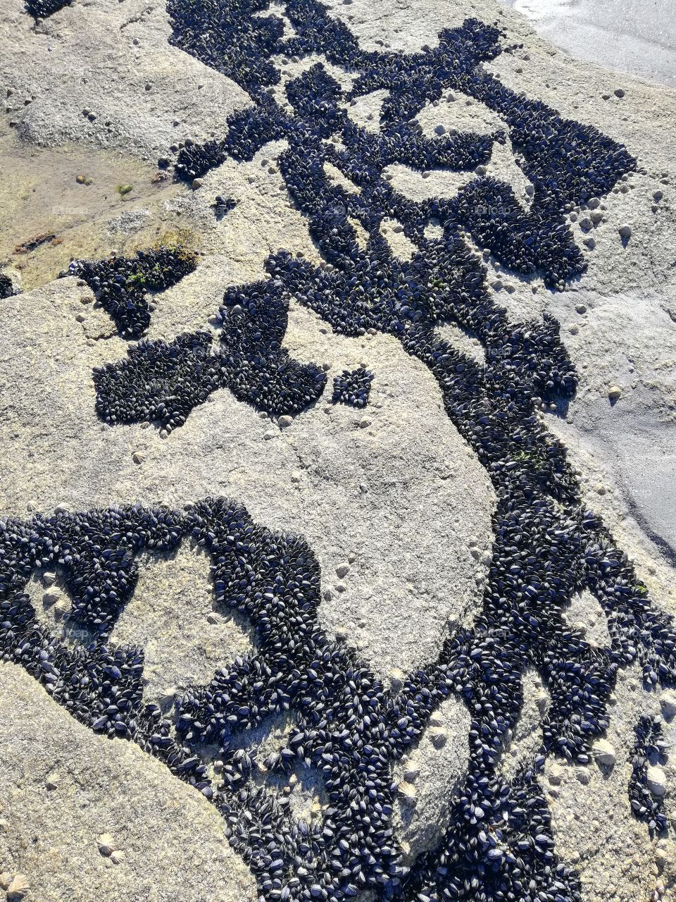 Rocher et plage bretonne