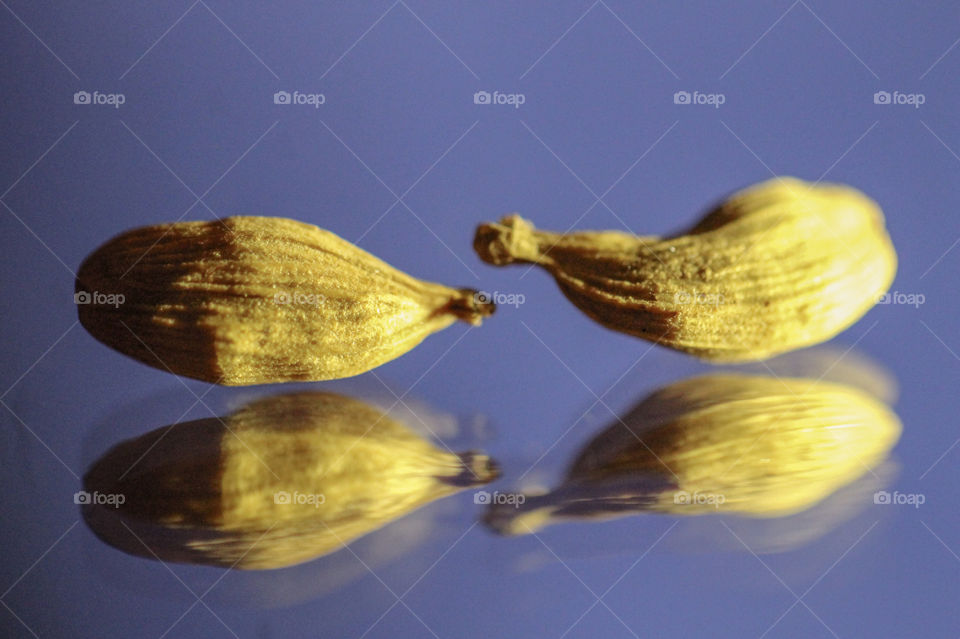 Macro shot of two yellow cardamon seeds on a mirror. They look like they’re floating on water & their refections are blurred like they’re underwater. 