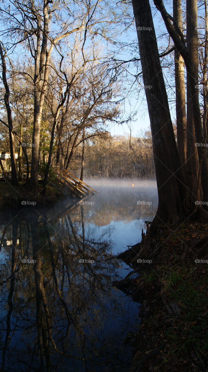 Foggy morning over the lake in the forest of Ginnie Springs