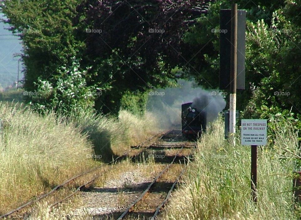 Steam train approaching station 