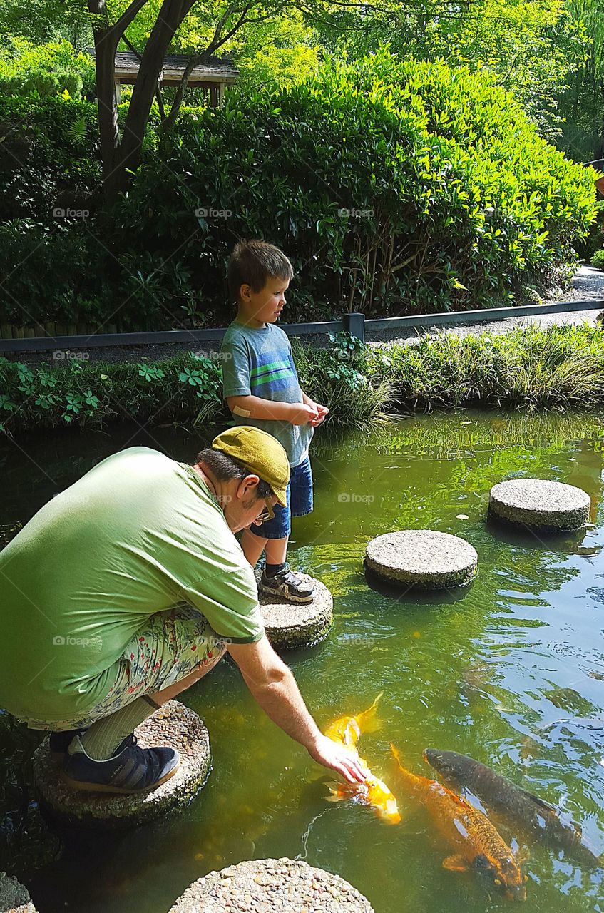 Man and boy at pond with koi fish
