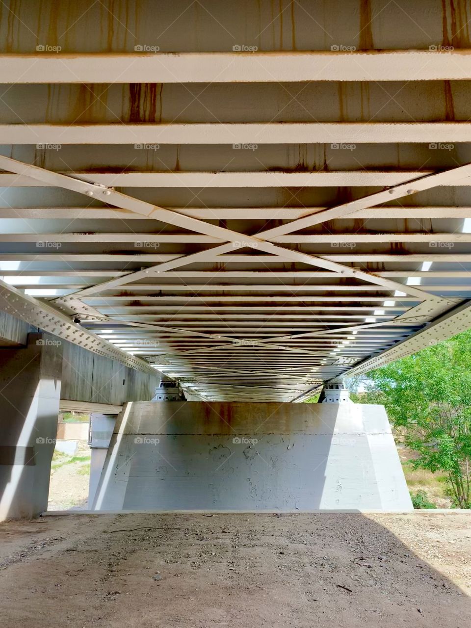Under a bridge that crosses a creak. Santa Ana, California. 