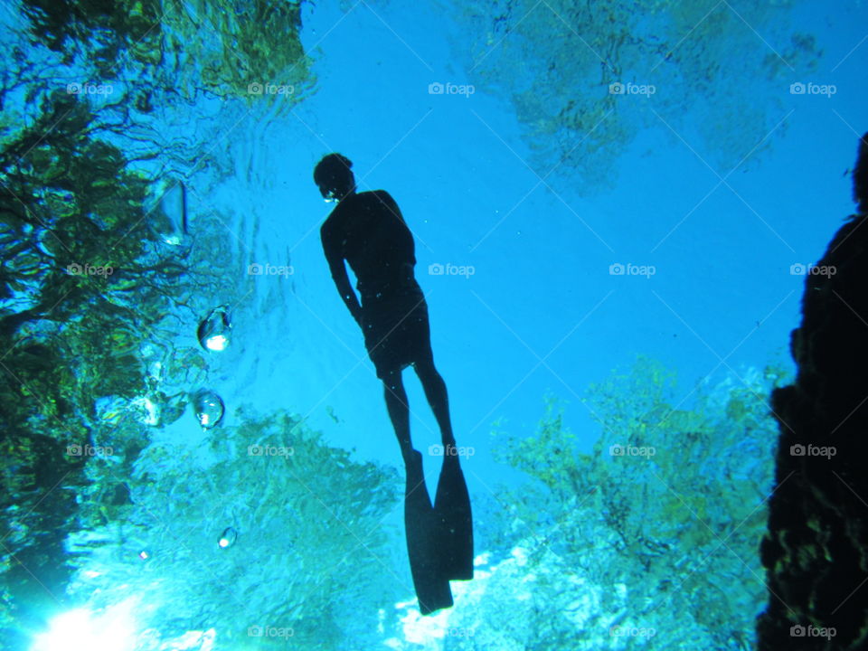 Underwater, Water Sports, Fish, Water, Diving