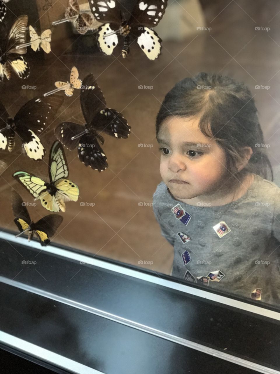 Little girl standing in front of glass with artificial butterflies