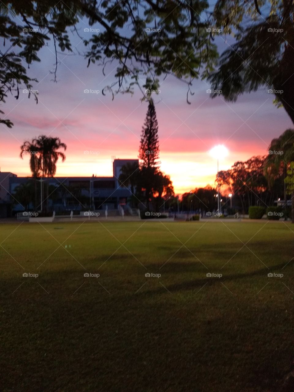 bem vindo foap: anoitecer