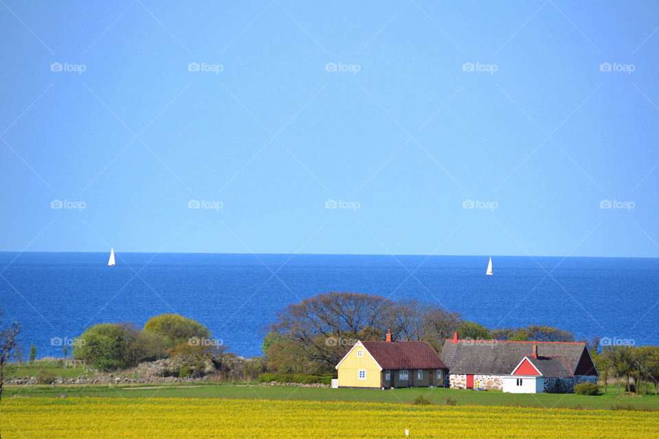 Beautiful landscape with ocean and farmhouse