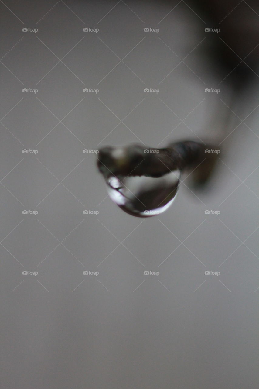 drop of water on Gray day