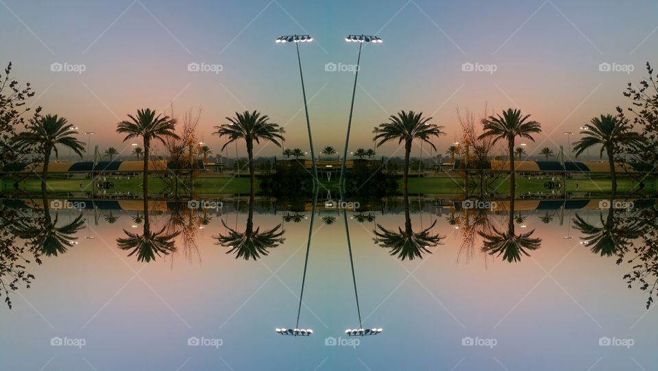 Palm, Tree, Beach, Resort, Tropical