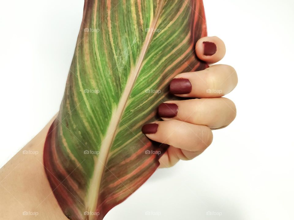 Matte suede manicure