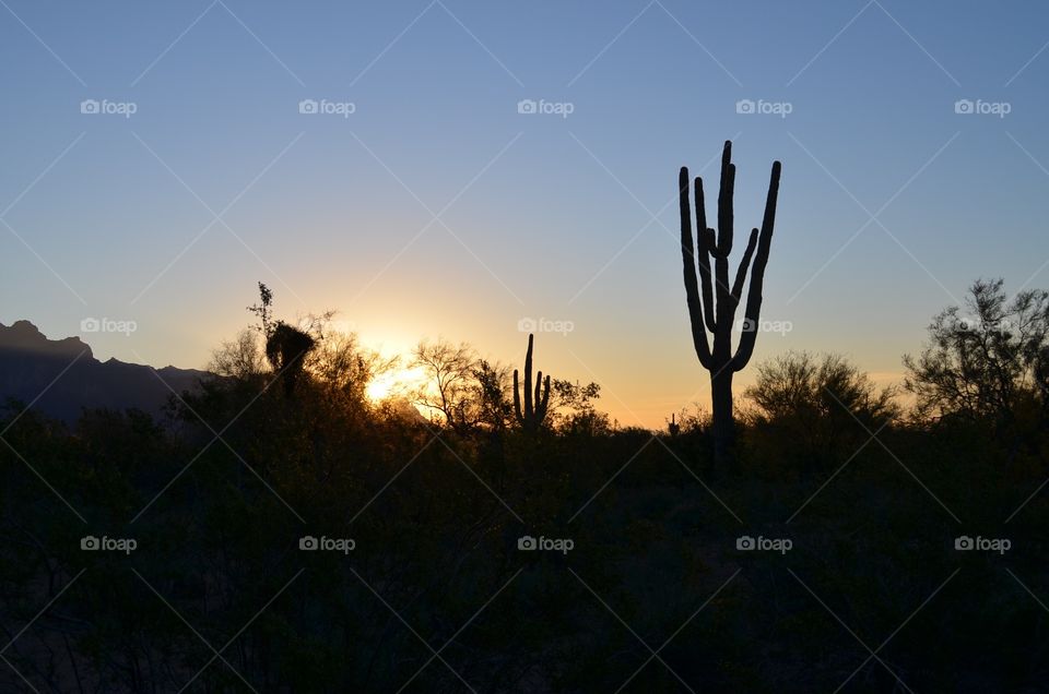 Sunrise in the Superstition Mountains 
