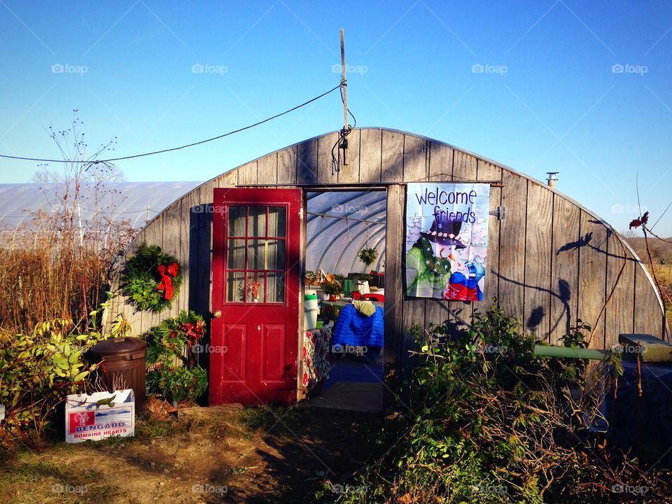 Warm winters day at the greenhouse 
 