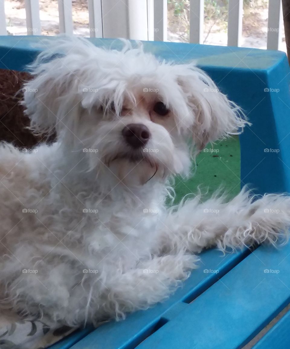 please finish my haircut  😓