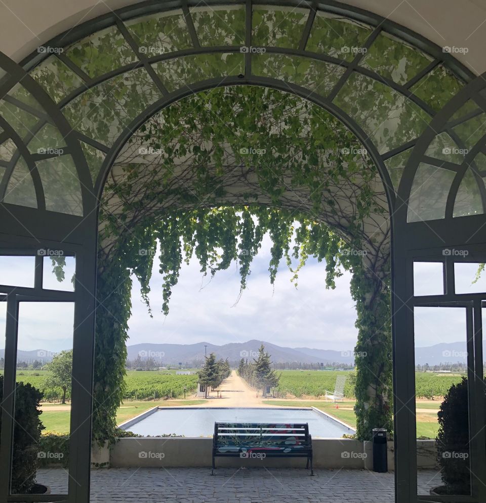 Amazing outside view of the field and the mountains