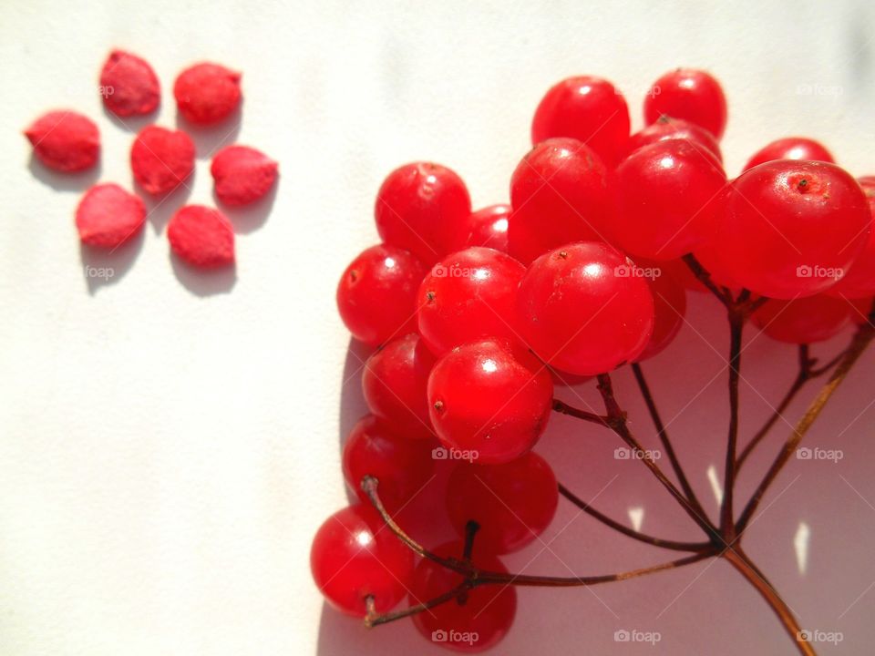 Close-up of berries