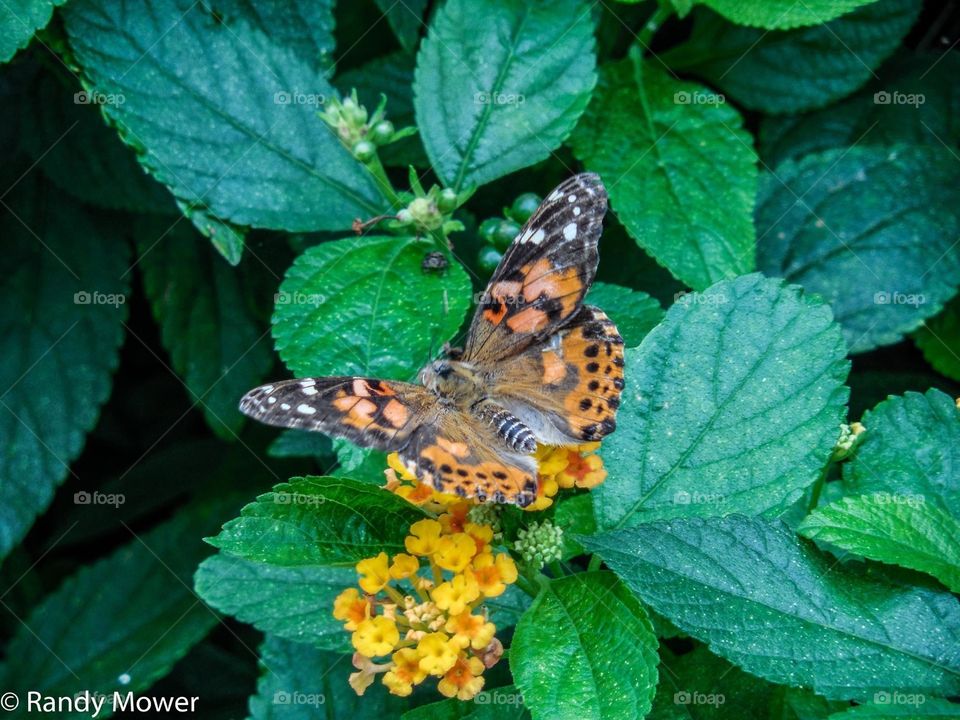 Rodger Williams Park Zoo
Providence RI