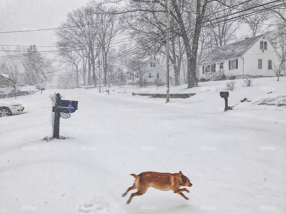 Playing in the snow...