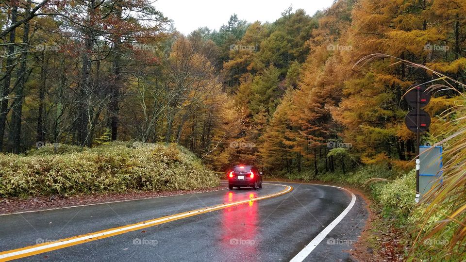 Fall roads