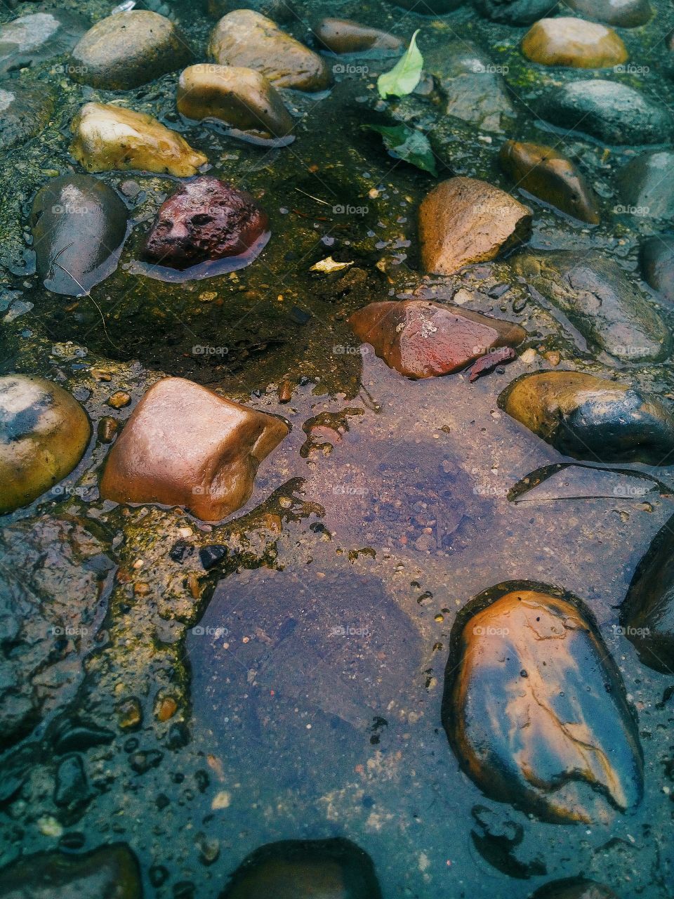Rocks and stones covered in the clear water from the rain.