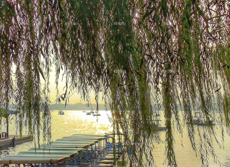 Sunset lakeside at Beijing's Summer Palace