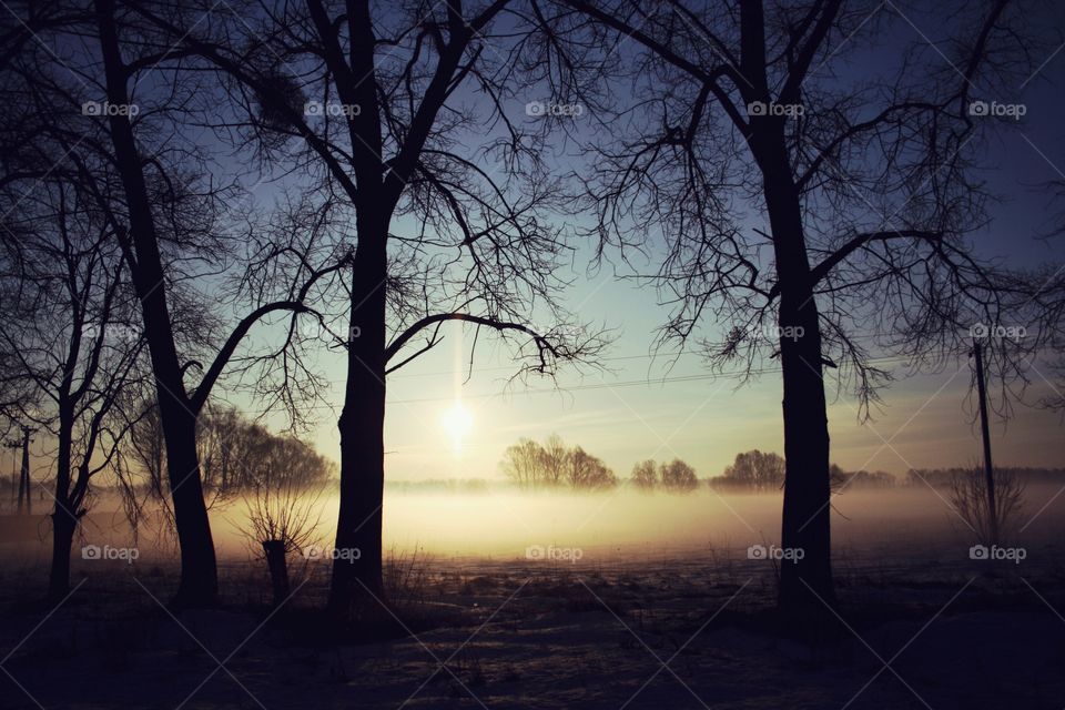 Chilly autumn morning. Frozen and beautiful forest in the morning light  