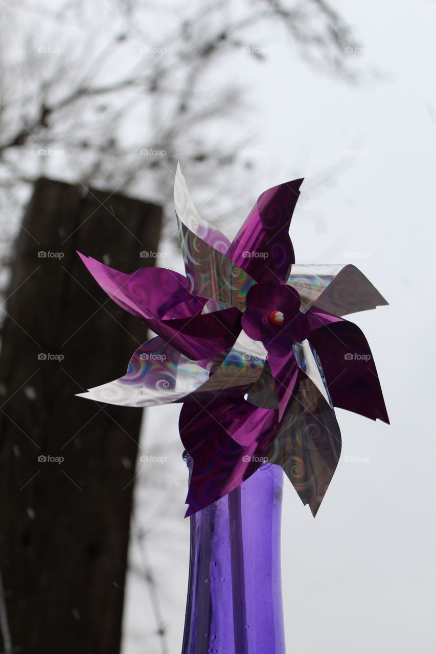Ultra violet pinwheel