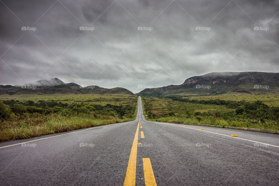 Road in the nature