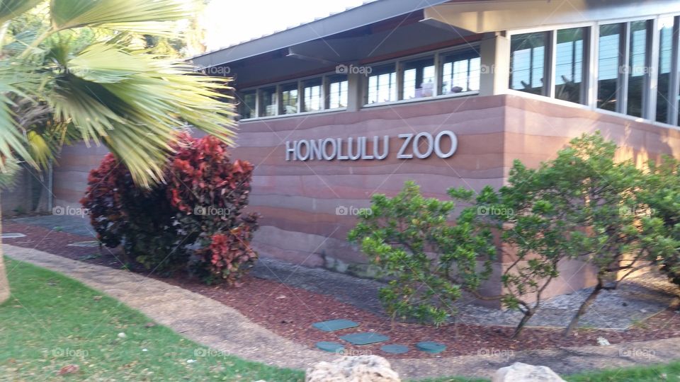 Honolulu Zoo