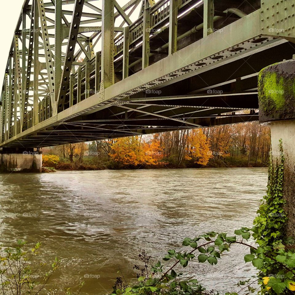 Autumn Bridge