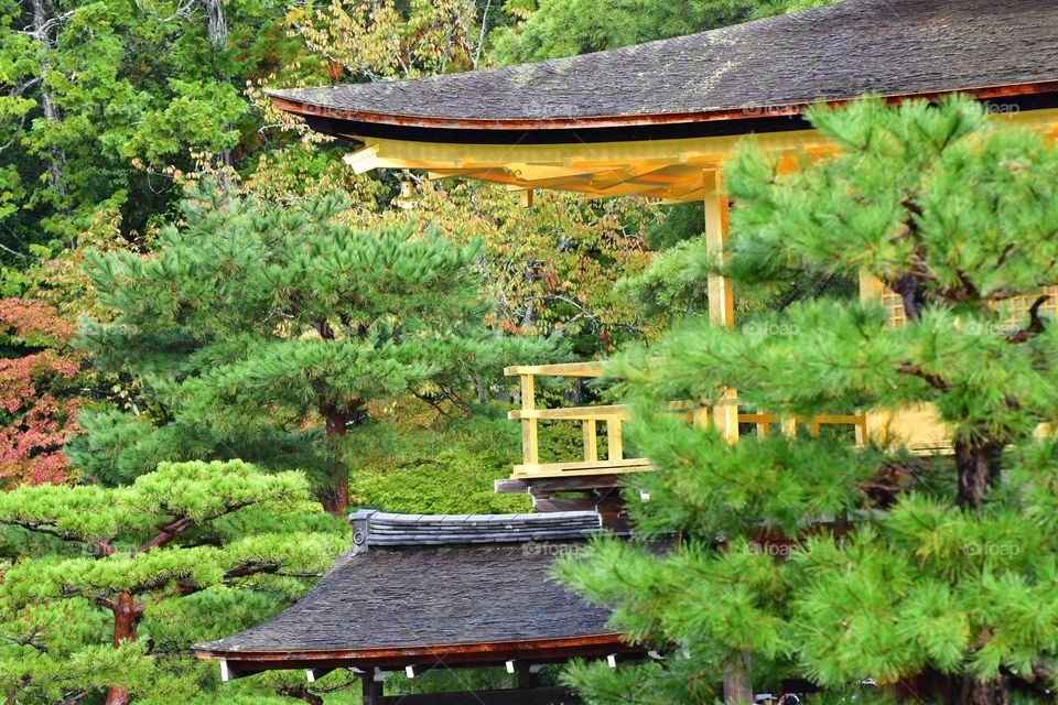 Golden temple