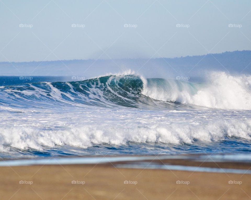 Pacific Ocean Wave