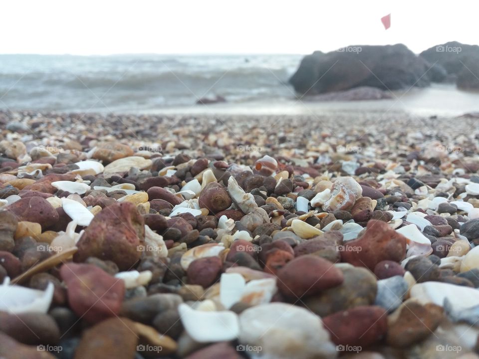 Beutuful Blur. Seashore filled with Shell